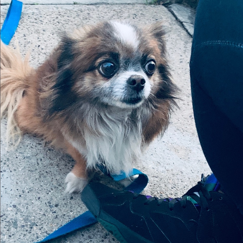 Meet your Posher, Elijah